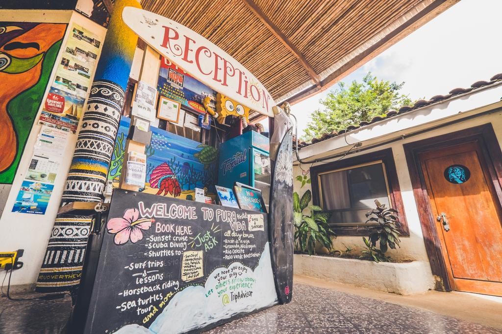 Pura Vida Hostel 타마린도 외부 사진